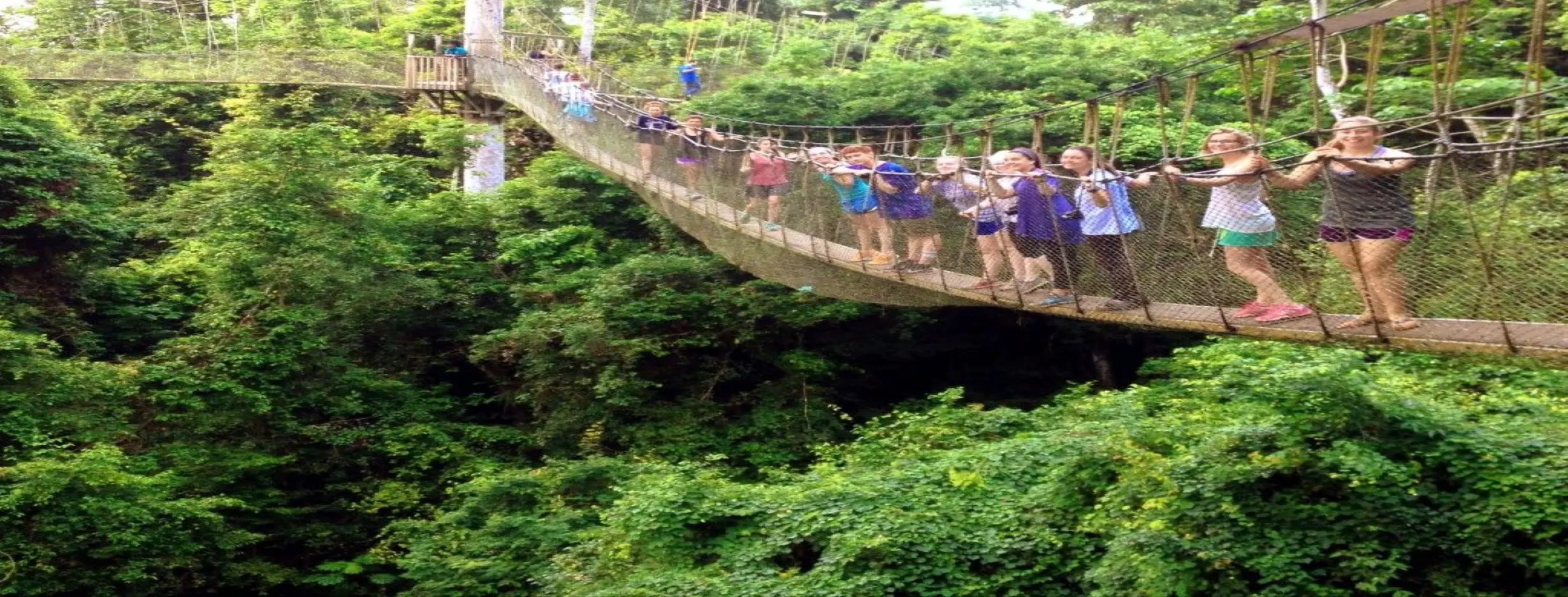 Image for Eco Canopy